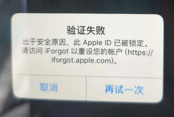 中山iPhone维修分享iPhone上正常登录或使用AppleID怎么办 