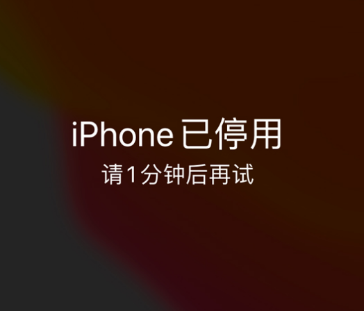 中山苹果手机维修分享:iPhone 显示“不可用”或“已停用”怎么办？还能保留数据吗？ 