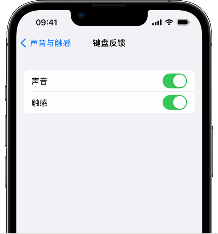 中山苹果14维修店分享如何在 iPhone 14 机型中使用触感键盘 