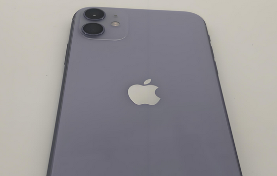 中山苹果11系统维修分享iPhone11手机系统崩溃无法开机如何解决 